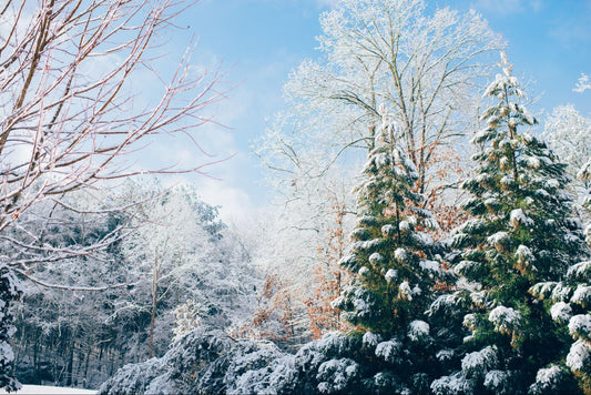 How To Protect Your Gazebo In Winter
